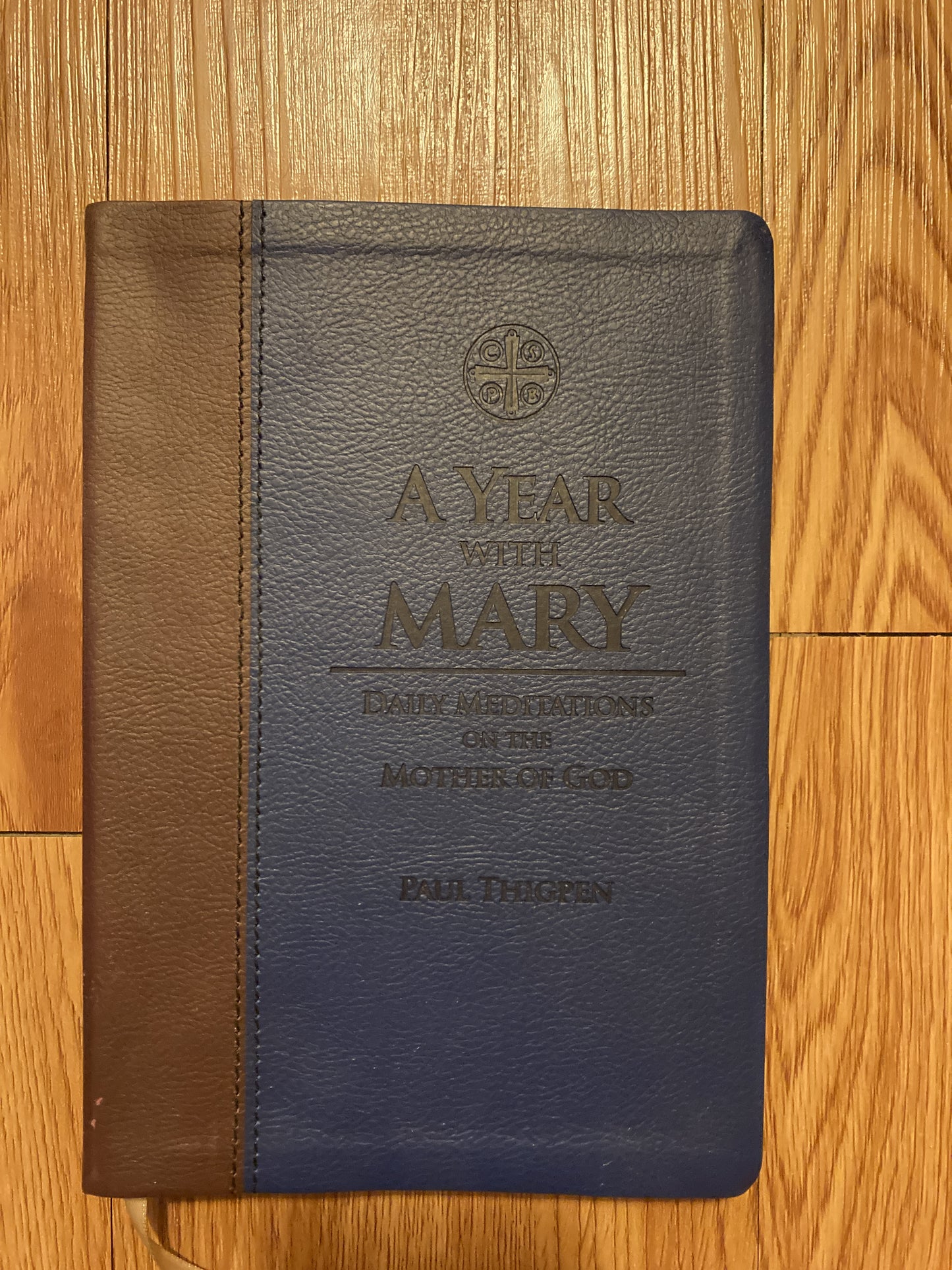 A Year with Mary: Daily Meditations on the Mother of God (IL)