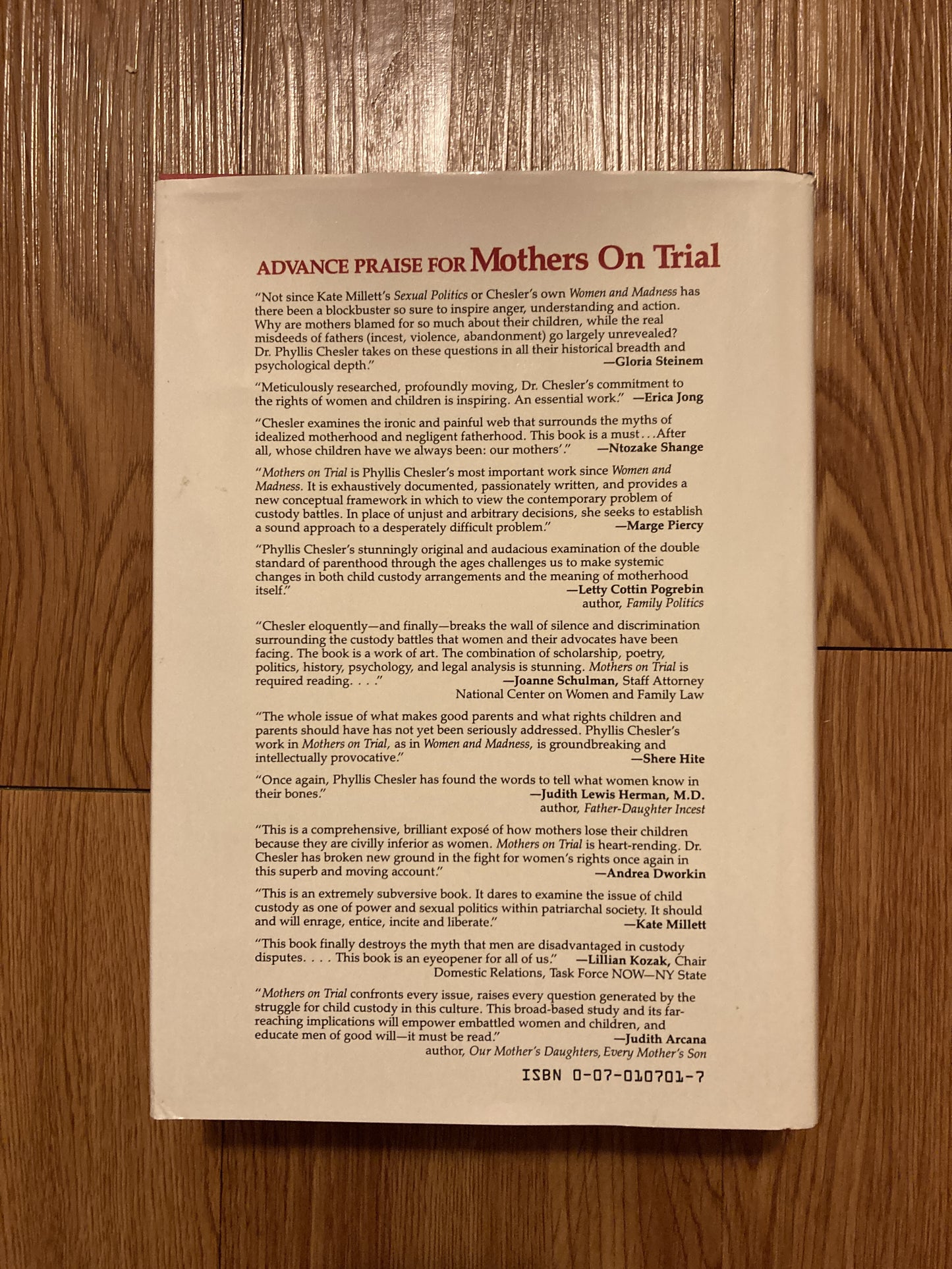 Mothers on Trial: The Battle for Children and Custody