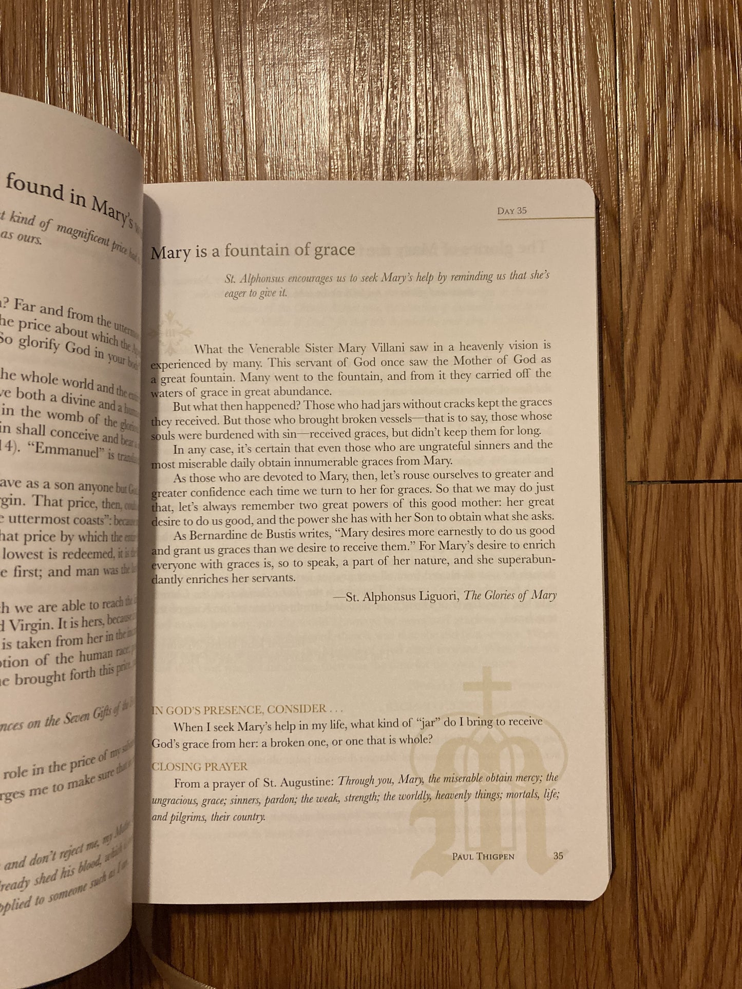A Year with Mary: Daily Meditations on the Mother of God (IL)