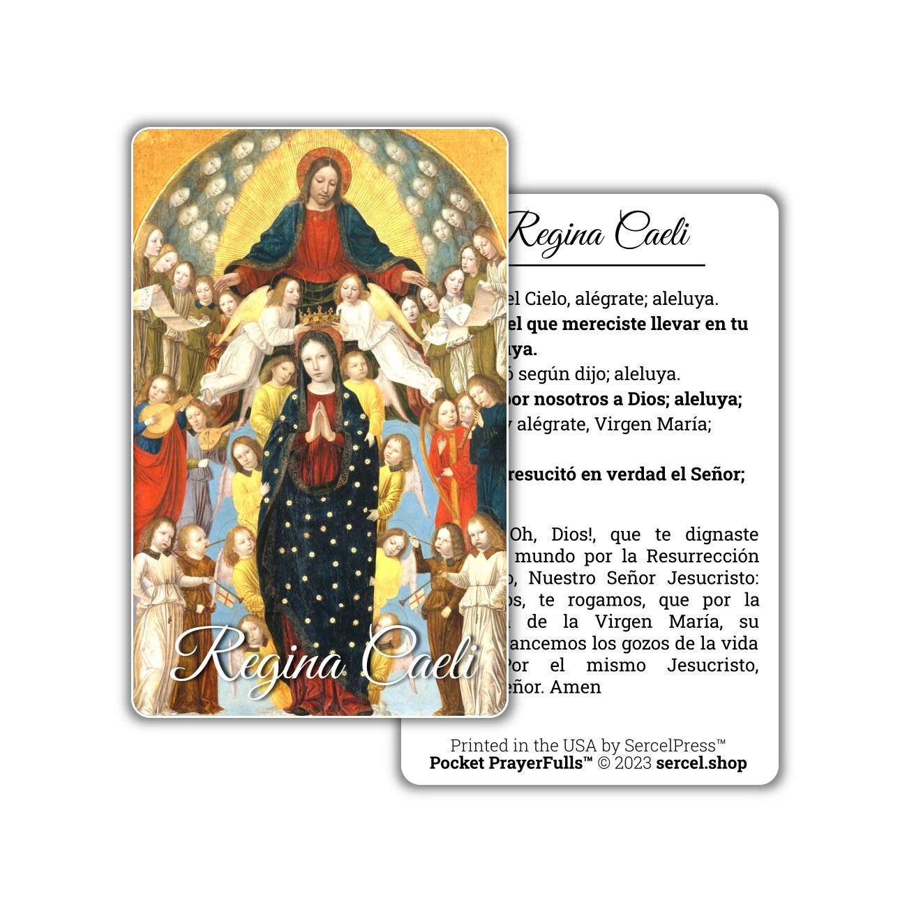 Spanish Collection, 8 Prayer Cards: Pocket PrayerFulls™ | Durable Wallet Prayer Cards | Catholic Prayers