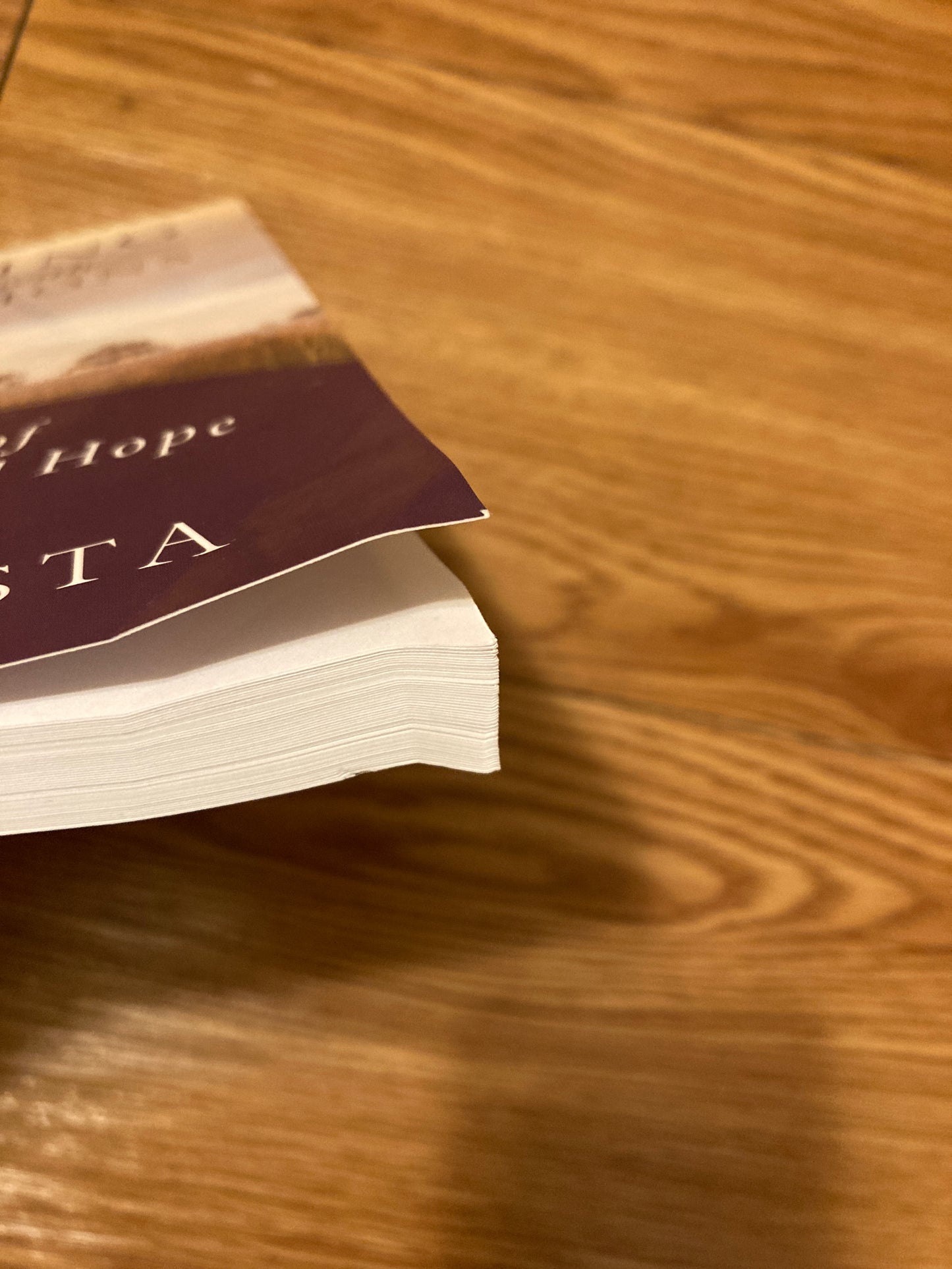 Praying for Those with Addictions: A Mission of Love, Mercy, Hope