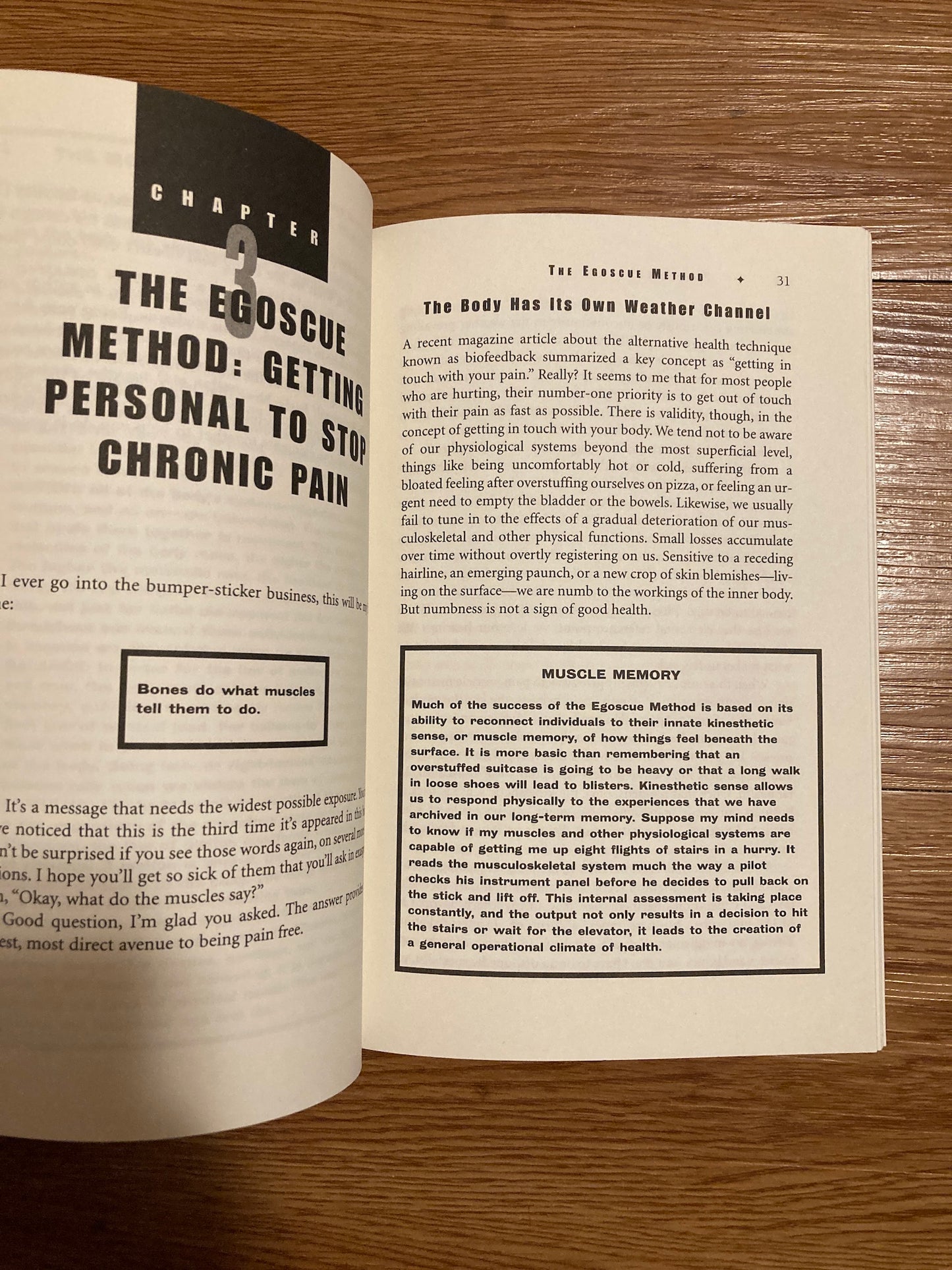Pain Free: A Revolutionary Method for Stopping Chronic Pain