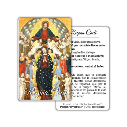 Spanish Collection, 8 Prayer Cards: Pocket PrayerFulls™ | Durable Wallet Prayer Cards | Catholic Prayers