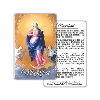 Spanish Collection, 8 Prayer Cards: Pocket PrayerFulls™ | Durable Wallet Prayer Cards | Catholic Prayers