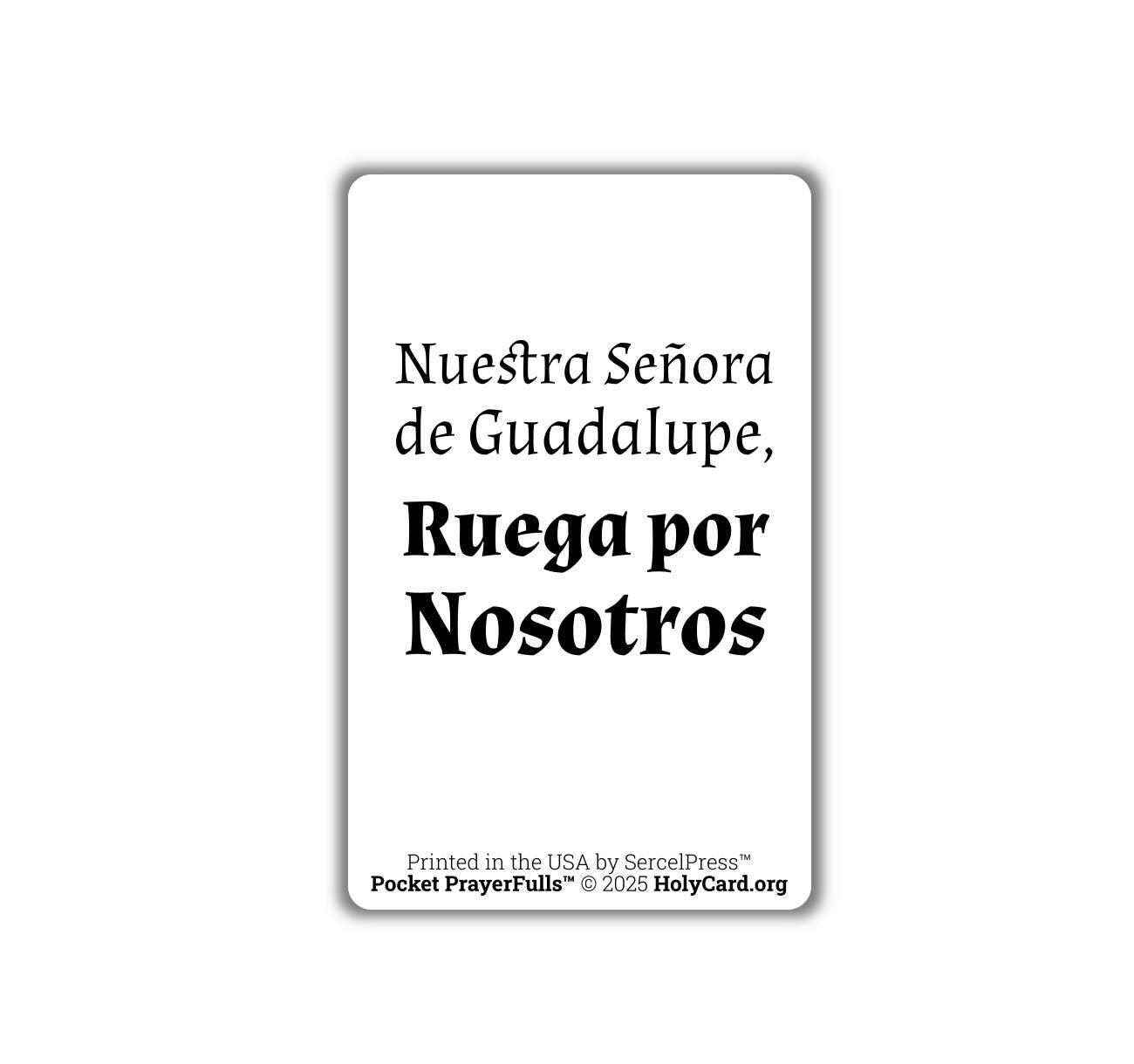 Our Lady of Guadalupe, Durable Plastic Holy Card - English or Spanish - Catholic Wallet Card - Made in the USA - Pocket PrayerFulls™