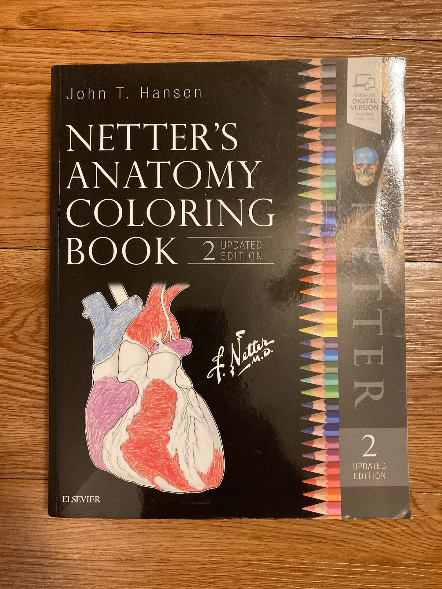 Netter's Anatomy Coloring Book Updated Edition, 2nd Edition