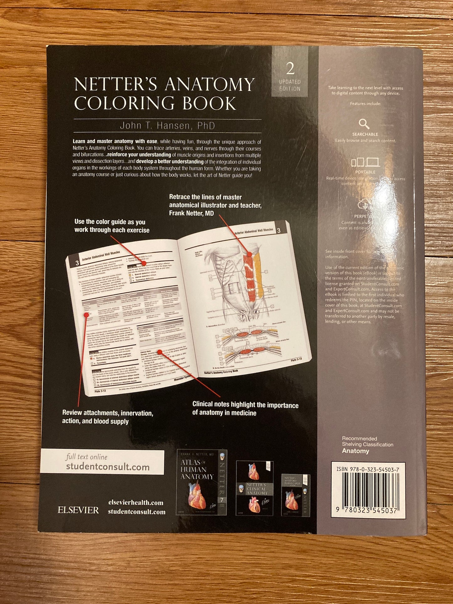 Netter's Anatomy Coloring Book Updated Edition, 2nd Edition