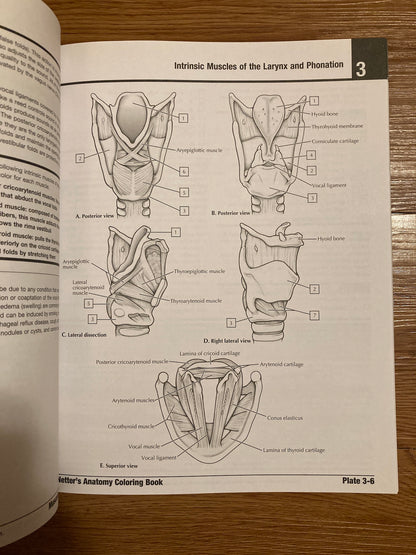 Netter's Anatomy Coloring Book Updated Edition, 2nd Edition