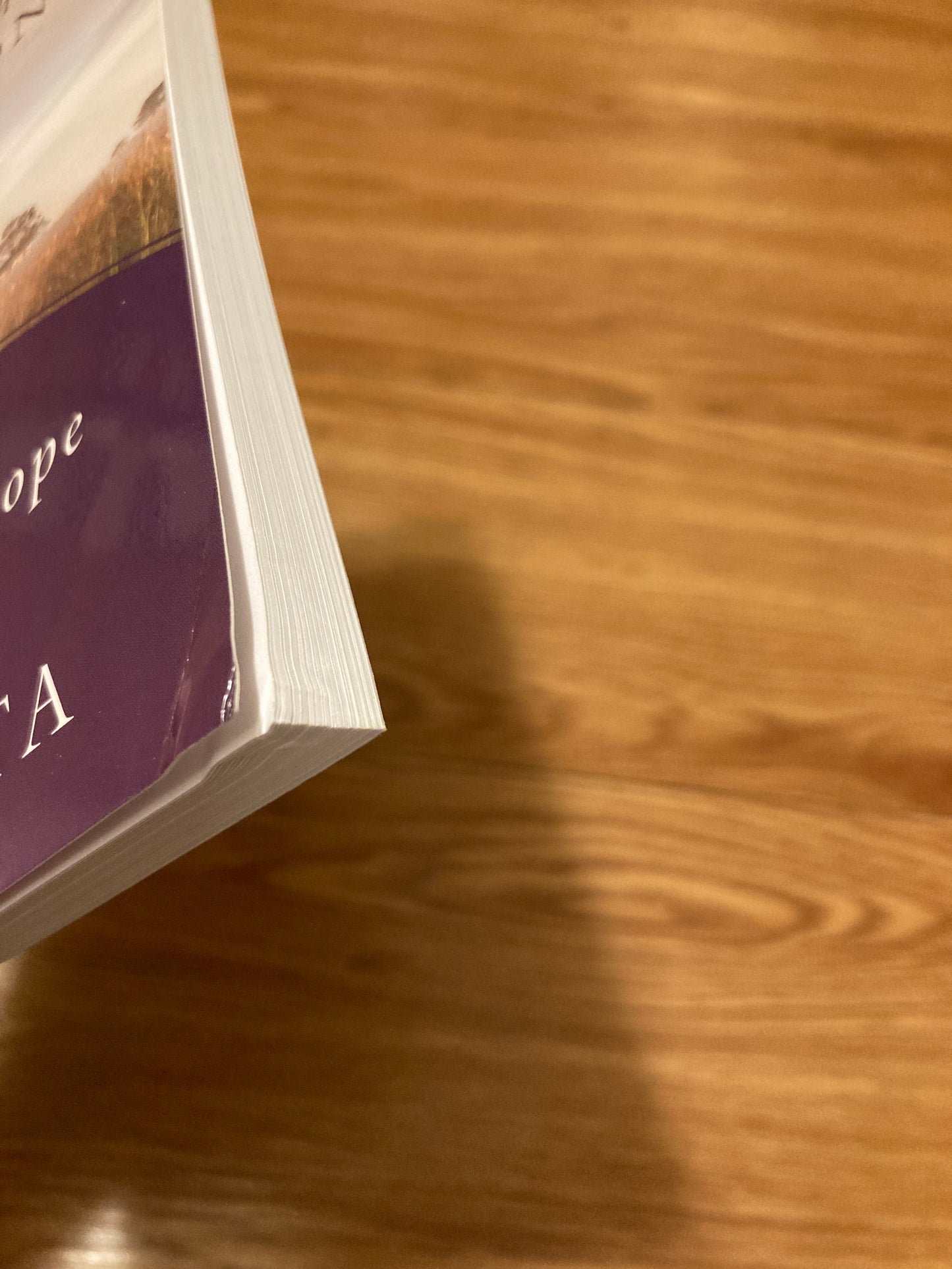 Praying for Those with Addictions: A Mission of Love, Mercy, Hope